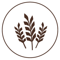 Gluten